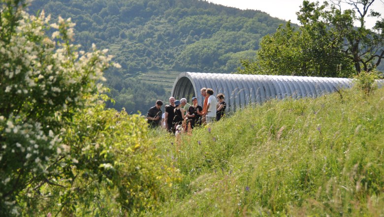moontube-visitor-old-forge, © Alte Schmiede moontube-visitor-old-forge, © Alte Schmiede