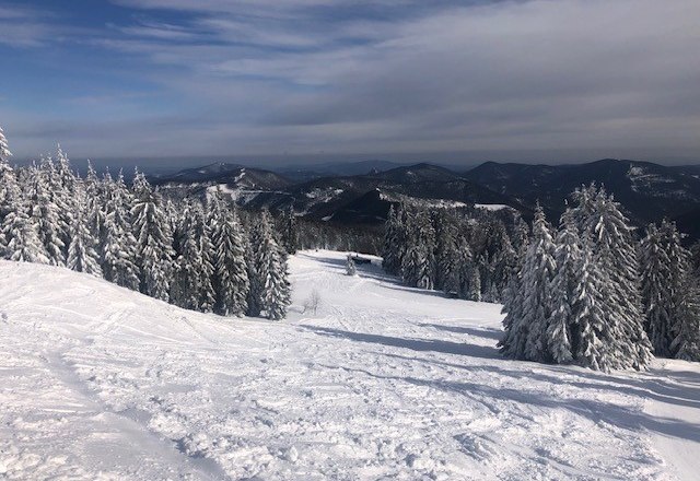 Skiing on the Unterberg, © Heidi Peer Snow-covered ski slope with fir trees on Unterberg.