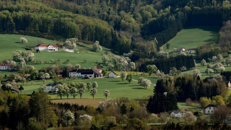 Photo point Kematen, © schwarz-koenig.at Photo point Kematen, © schwarz-koenig.at