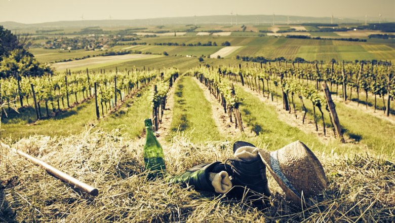 Schüttenberg Göttlesbrunn, VIA.CARNUNTUM., © Donau Niederösterreich, Andreas Hofer Schüttenberg Göttlesbrunn, VIA.CARNUNTUM., © Donau Niederösterreich, Andreas Hofer