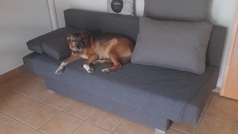 Living room, © Haus am Bach Living room, © Haus am Bach