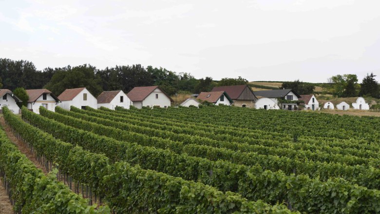 Prellenkirchen wine cellar lane, VIA.CARNUNTUM., © Donau Niederösterreich, Steve Haider Prellenkirchen wine cellar lane, VIA.CARNUNTUM., © Donau Niederösterreich, Steve Haider