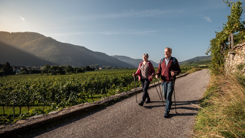 Guesthouse-Winzerhof Bernhard, © Jolly Schwarz An elderly couple walks with sticks on a path through vineyards, with mountains and blue sky in the background.