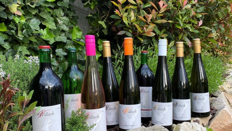 arcade courtyard, © Familie Willach Wine bottles trapped on a wall