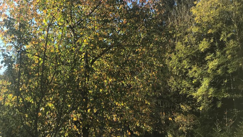 Wonderful summer days at the 1000Krauthof, © Stefan Schindler Wonderful summer days at the 1000Krauthof, © Stefan Schindler