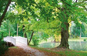 Harrach Park, © Markus Einramhof Harrach Park, © Markus Einramhof