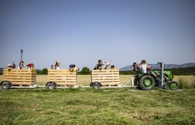 A leisurely ride on the "apple train", © Most Michl A tractor pulls a trailer full of happy people through a field.