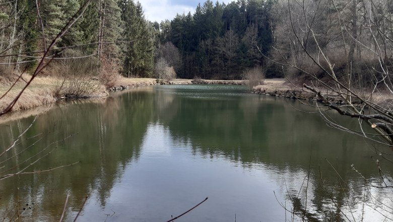 20200303_151701, © Gemeinde Pölla 20200303_151701, © Gemeinde Pölla