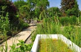 Bognerhof nursery, © Bognerhof A green garden with a path, an old bathtub as a pond and a table with chairs in the background.