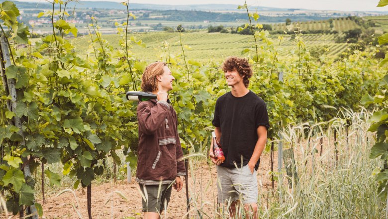 In the vineyard, © Elke Wolfbeisser Two men are standing in a vineyard, laughing and talking, one of them holding a bottle of wine.