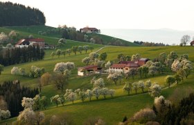 Photo point St. Peter in der Au, © schwarz-koenig.at Photo point St. Peter in der Au, © schwarz-koenig.at