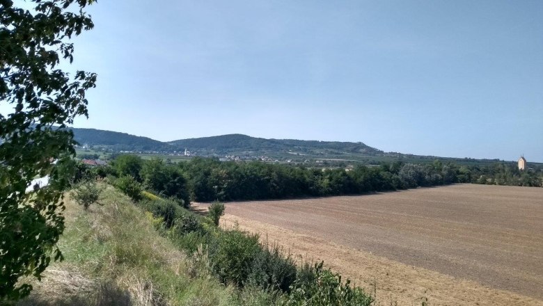The Bronze Age cemeteries in Franzhausen, © Franz Pieler The Bronze Age cemeteries in Franzhausen, © Franz Pieler