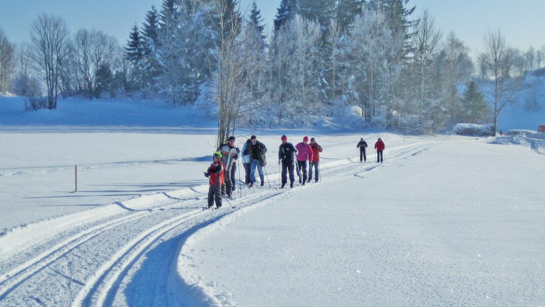 Cross-country skiing in Bad Traunstein, © Gemeinde Bad Traunstein Group of cross-country skiers on a snow-covered trail in a winter landscape.