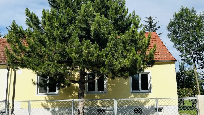 TDR-The Guesthouse exterior, © Mayer Markus TDR-The Guesthouse exterior, © Mayer Markus