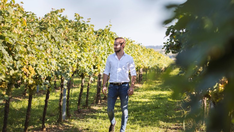 In the vineyard, © Weingut Tanzberger A man in a white shirt and jeans walks through a vineyard.