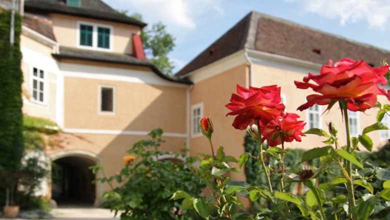 Schrattenthal Castle, © Birgit Reiter Close-up of red roses in front of a yellow castle building with roof and windows.