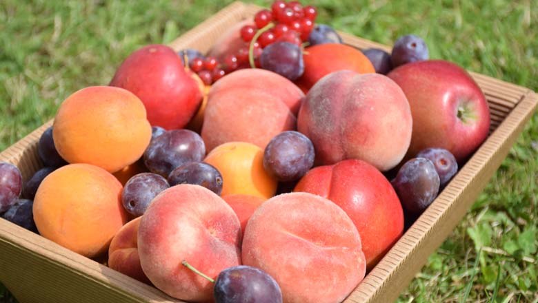 Fruit assortment, © Familie Schreiber Fruit assortment, © Familie Schreiber