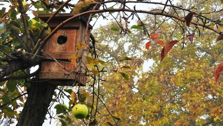 2015-10-35_klein_c_friedrich-kreiner, © Friedrich Kreiner A birdhouse and an apple hanging on a branch in the fall.