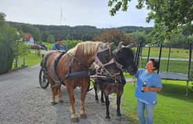 Active stable Hirschenwies, © Birgit Libal Active stable Hirschenwies, © Birgit Libal