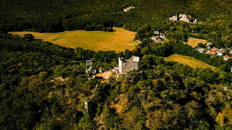 Mödling castle ruins, © Sascha Schernthaner Mödling castle ruins, © Sascha Schernthaner