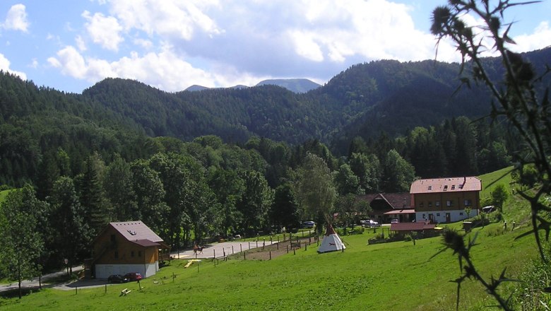 Maho riding farm, © MAHO Landscape with farm, meadows and forest in the background.