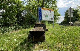 Mastodon site in Hohenwarth, © Weinstraße Weinviertel Sign for the mastodon site in Hohenwarth on a meadow surrounded by trees and a path.
