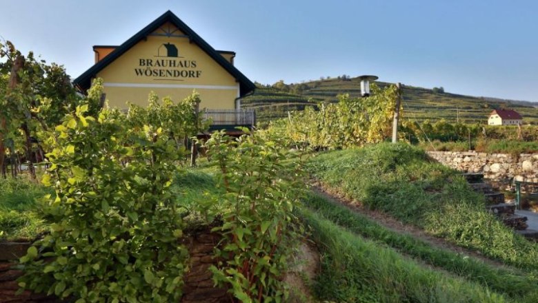 Brewery in Wösendorf, © Familie Friesenbichler Brauhaus Wösendorf in the middle of vineyards.