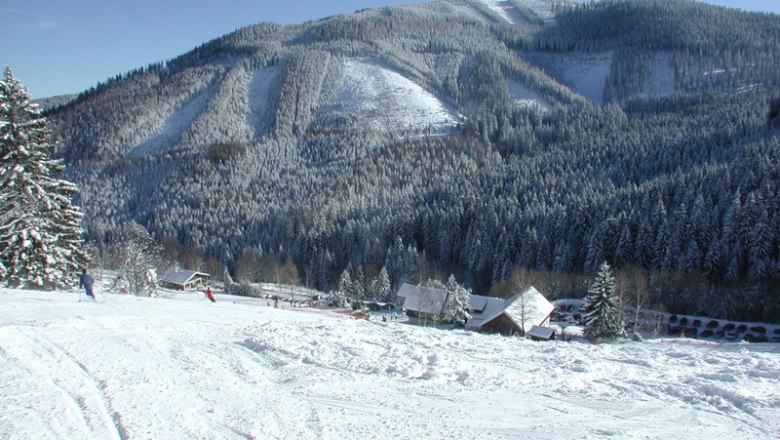 Feistritzsattel Dissauer, © schilifte-feistritzsattel-dissauer Snowy mountain landscape with skiers and forest in the background.