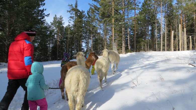 Hohe Wand Nature Park, © Naturpark Hohe Wand People lead llamas through a snowy forest in the Hohe Wand Nature Park.