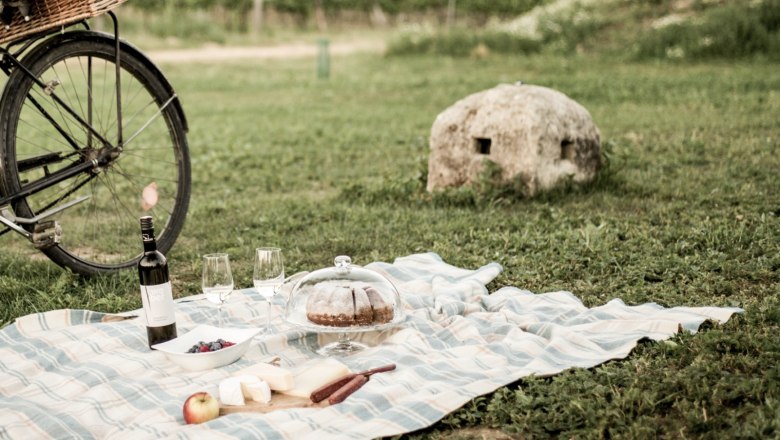 Organic viticulture Weber, © Fam Weber Picnic blanket with wine, glasses, cake and fruit on a meadow in front of a vineyard.