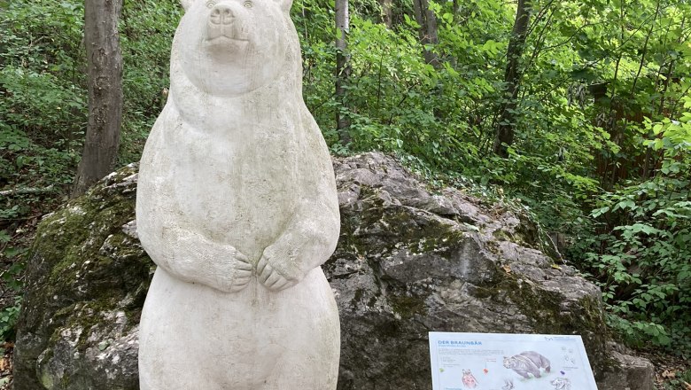 Alland stalactite cave, © Marktgemeinde Alland Alland stalactite cave, © Marktgemeinde Alland