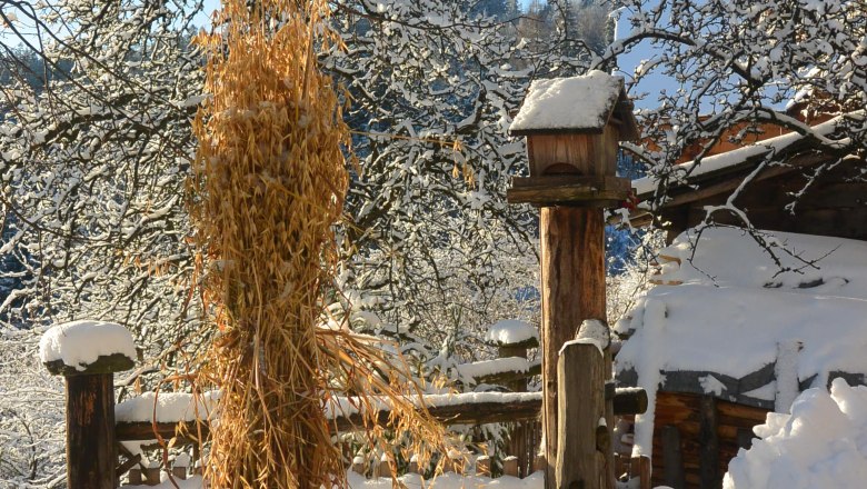 Winter mood, © Erika Kronaus Snowy landscape with a wooden fence and a birdhouse.
