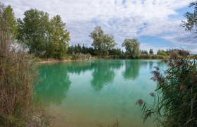 Trasdorf bathing lake, Atzenbrugg, © Richard Marschik A calm lake with clear, turquoise water, surrounded by trees and reeds under a cloudy sky.