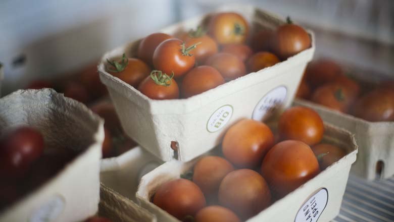 Paradeiser from the Weinviertel, © Landspeis Paradeiser from the Weinviertel, © Landspeis