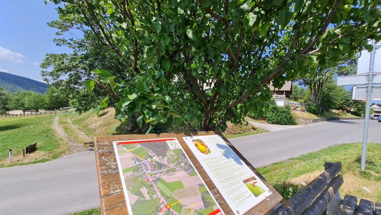 fruit trailhollenthonccorneliaschuh-1_web, © Wiener Alpen, Schuh An information sign about the fruit nature trail in Hollenthon stands next to a road under a tree.