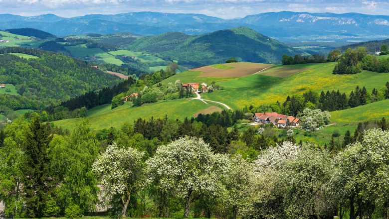 Thomasberg spring, © Wiener Alpen/Walter Strobl, audivision.at Spring landscape with blossoming trees and green hills in Thomasberg.