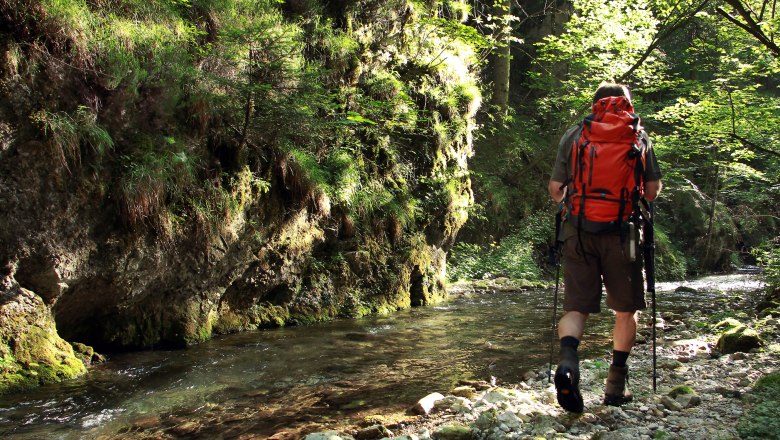 Falcon Gorge Türnitz, © weinfranz.at Hiker with a red rucksack in a green gorge next to a stream.
