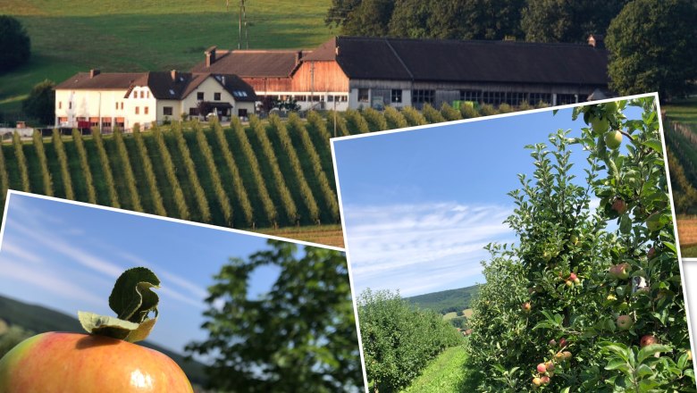 Annahof, © Annahof Annahof, © Annahof