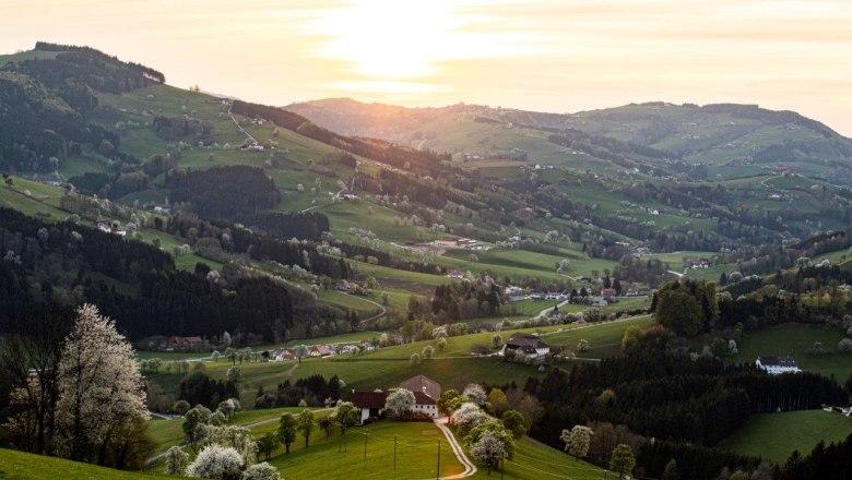 Photo point St. Peter in der Au, © schwarz-koenig.at Photo point St. Peter in der Au, © schwarz-koenig.at