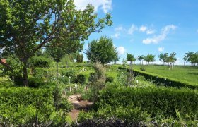 Sonnenkräuterhof Schmidt, © "Natur im Garten"/S. Litschauer A well-tended herb garden with green hedges and trees under a blue sky.