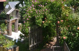 Natural garden paradise Beisteiner, © Naturgartenparadies Beisteiner A flowering garden with a wooden gate, roses and plants in pots.