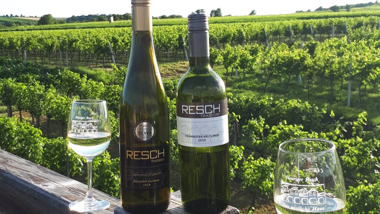 wine-in-the-vineyard-family-resch, © Familie Resch Two wine bottles and two wine glasses on a wooden fence in front of a vineyard.