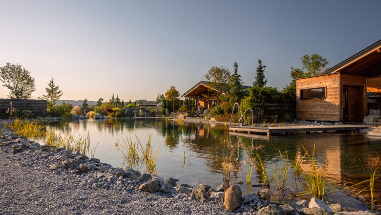 Kittenberger Chalets at the Gartensee, © Niederösterreich Werbung / Maximilian Pawlikowsky Wooden chalets on the shore of a small lake with a jetty and plants in the foreground.