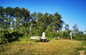 Tranquil vacation cruise, © Weinstraße Weinviertel Meadow with benches and sculptures in front of trees and a blue sky.