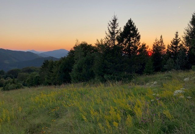 Kieneck in the evening, © Heidi Peer Sunset behind trees and meadows on the Kieneck.