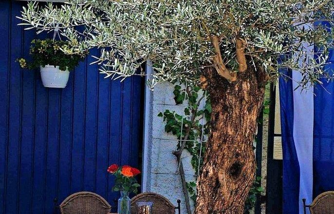 Tavern Zorbas, © Taverne Zorbas Tavern Zorbas, © Taverne Zorbas