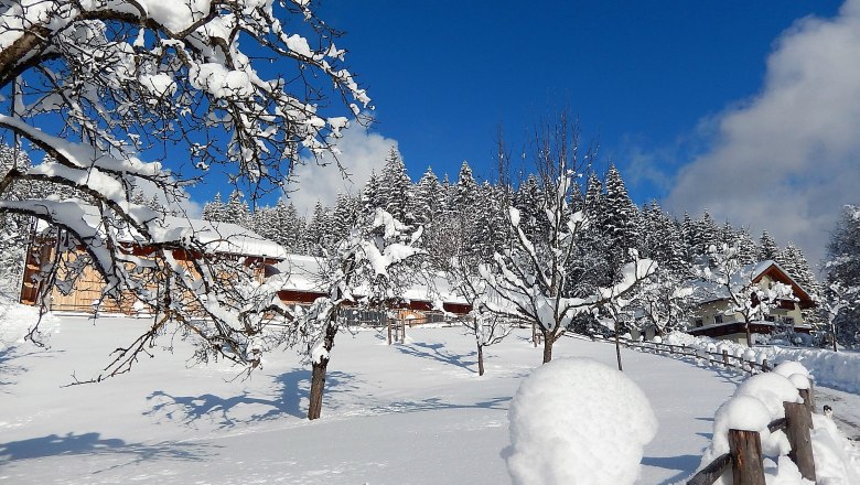 Organic farm Poidlbauer, © Poidlbauer Organic farm Poidlbauer, © Poidlbauer