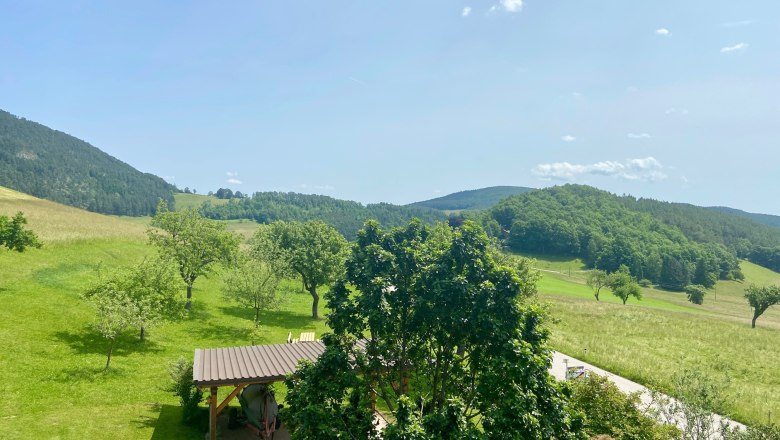 Apartments Riedl, © Wiener Alpen Landscape with green meadows, trees and hills under a blue sky.