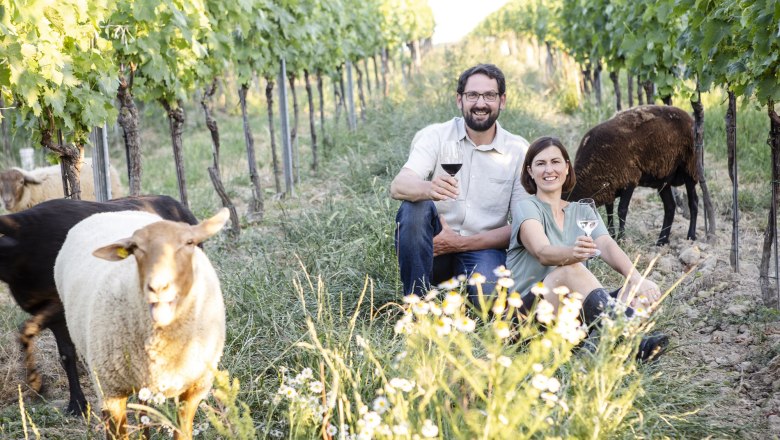 Sharp, © Astrid Bartl Two people are sitting in a vineyard with sheep and holding wine glasses.