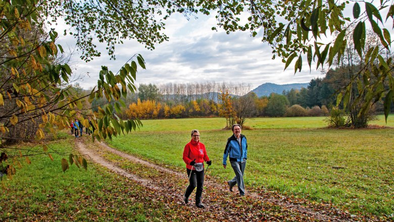 Bachwiesenweg, © Gottfried Grossinger Bachwiesenweg, © Gottfried Grossinger